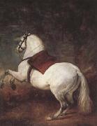 A White Horse (df01), Diego Velazquez